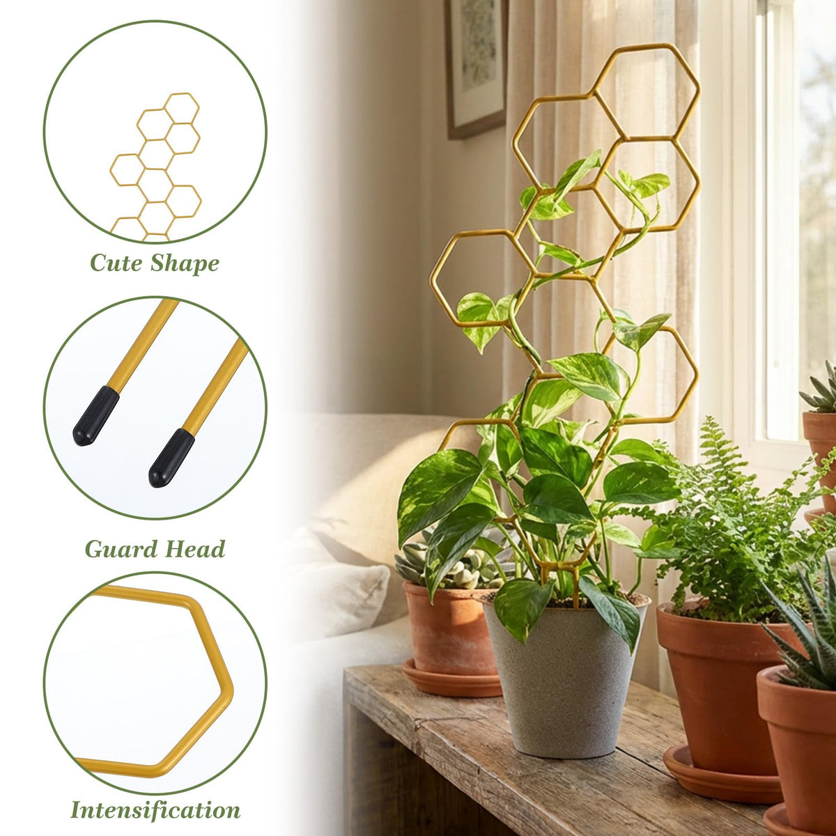 PEOVLVN potted-plant climbing support keeps stems from bending and helps shape growth.