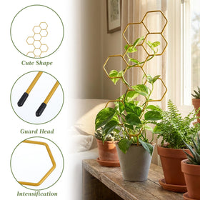 PEOVLVN potted-plant climbing support keeps stems from bending and helps shape growth.