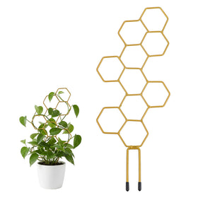 PEOVLVN small trellis with honeycomb shape supports climbing plants for neat vertical growth indoors.