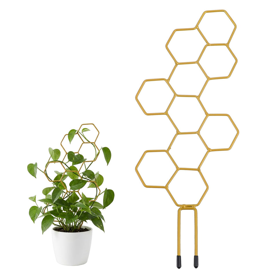 PEOVLVN small trellis with honeycomb shape supports climbing plants for neat vertical growth indoors.
