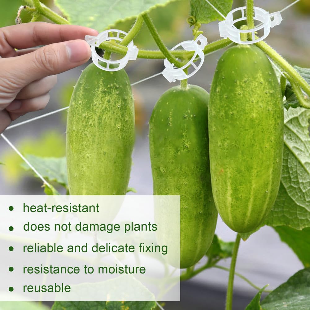 PEOUWNES 8-holes design promotes airflow around vines.