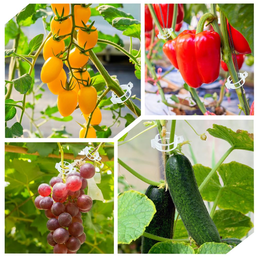 PEOUWNES tomato and pepper clips in a vertical garden setup.