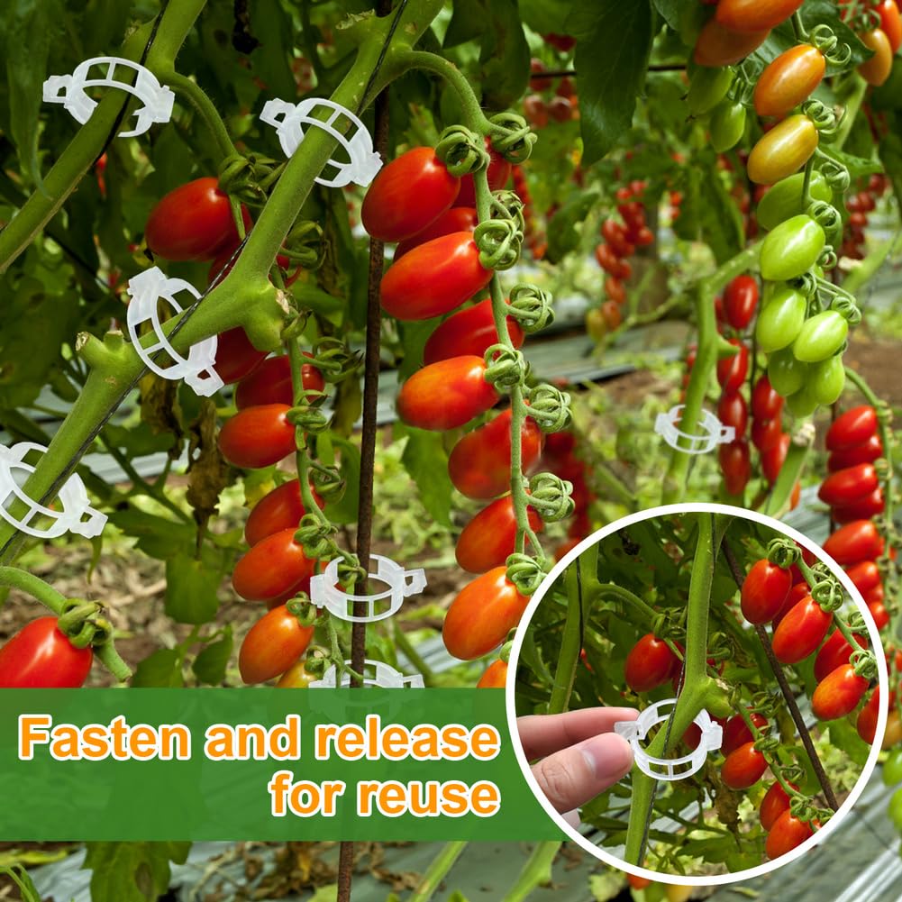 PEOUWNES garden clips for cucumbers, squash, roses, and more.