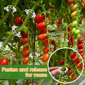 PEOUWNES garden clips for cucumbers, squash, roses, and more.