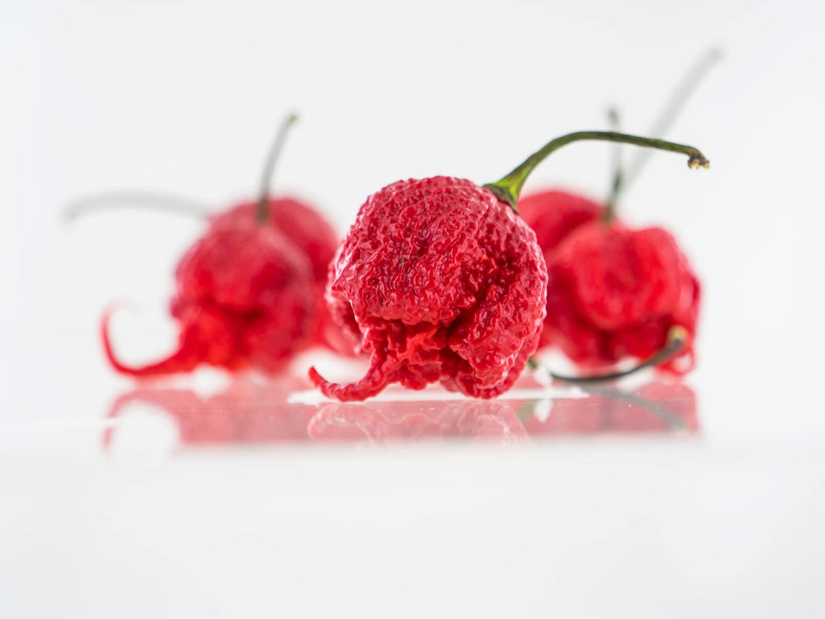 Pepper Joe's hand-harvested seeds from USA-grown peppers ensuring reliable germination.