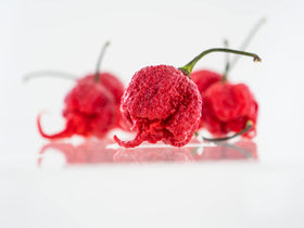 Pepper Joe's hand-harvested seeds from USA-grown peppers ensuring reliable germination.