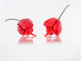 Pepper Joe's premium non-GMO seeds in package for clean planting.