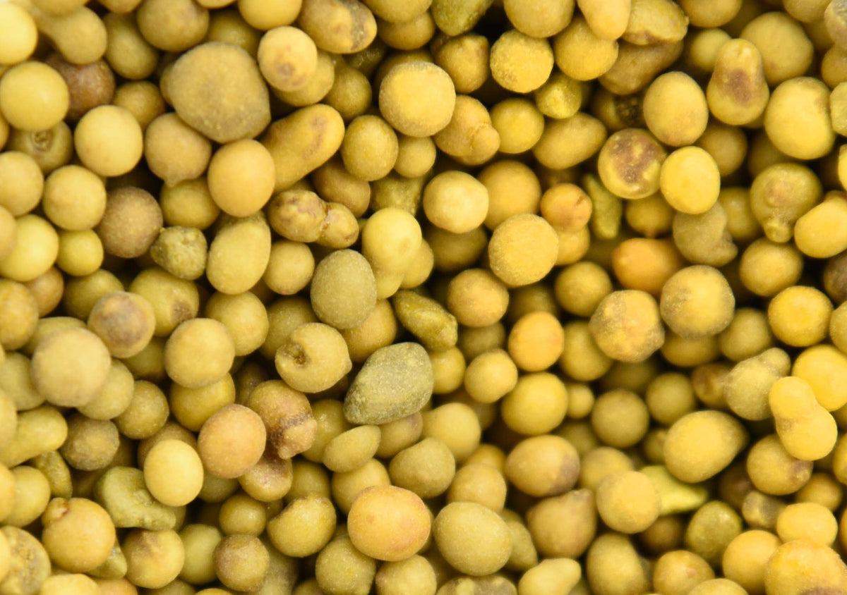 Perfect Plants application scoop demonstrates easy dosing and even distribution.