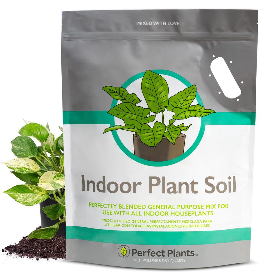 Perfect Plants balanced potting mix 8qt for thriving indoor potted plants