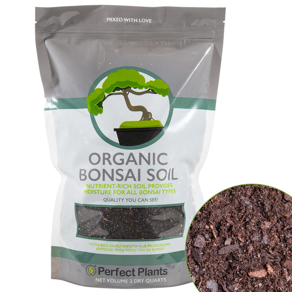 Perfect Plants Bonsai Soil all-purpose mix in a bag for thriving roots
