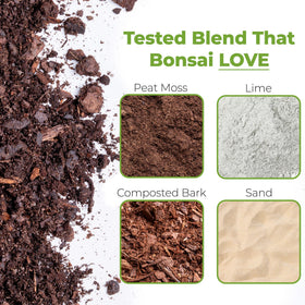 Closeup of Perfect Plants Bonsai Soil texture showing moisture-balancing granules