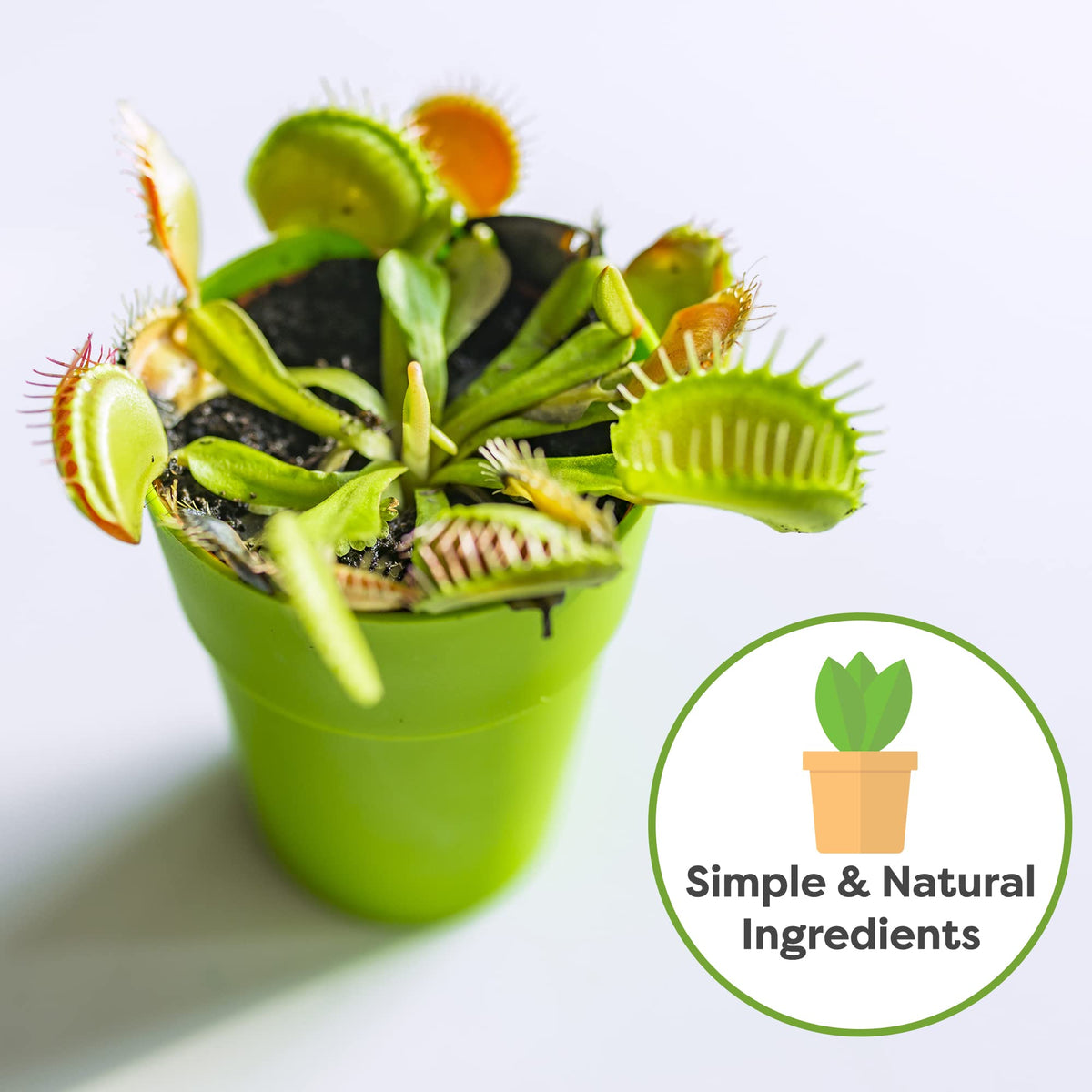 Perfect Plants four-quart bag ready for multiple containers and seasonal use.