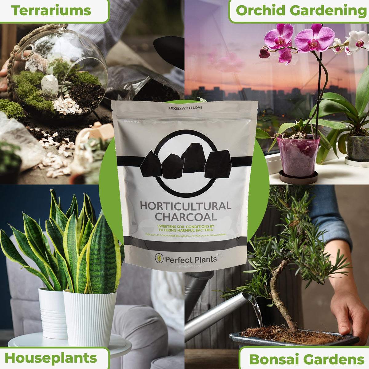 Perfect Plants charcoal terrarium bottom layer promotes drainage and airflow
