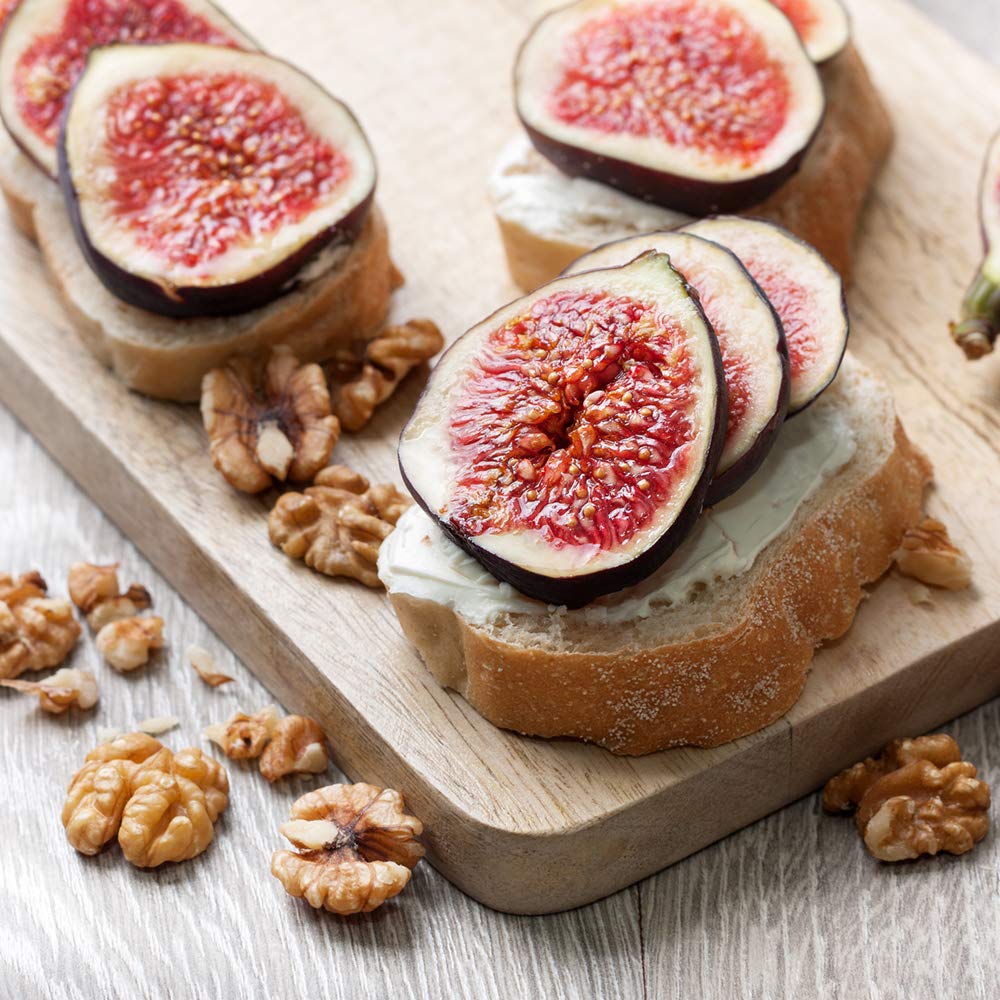 Perfect Plants Chicago Hardy fig thriving in full sun on patio or landscape.