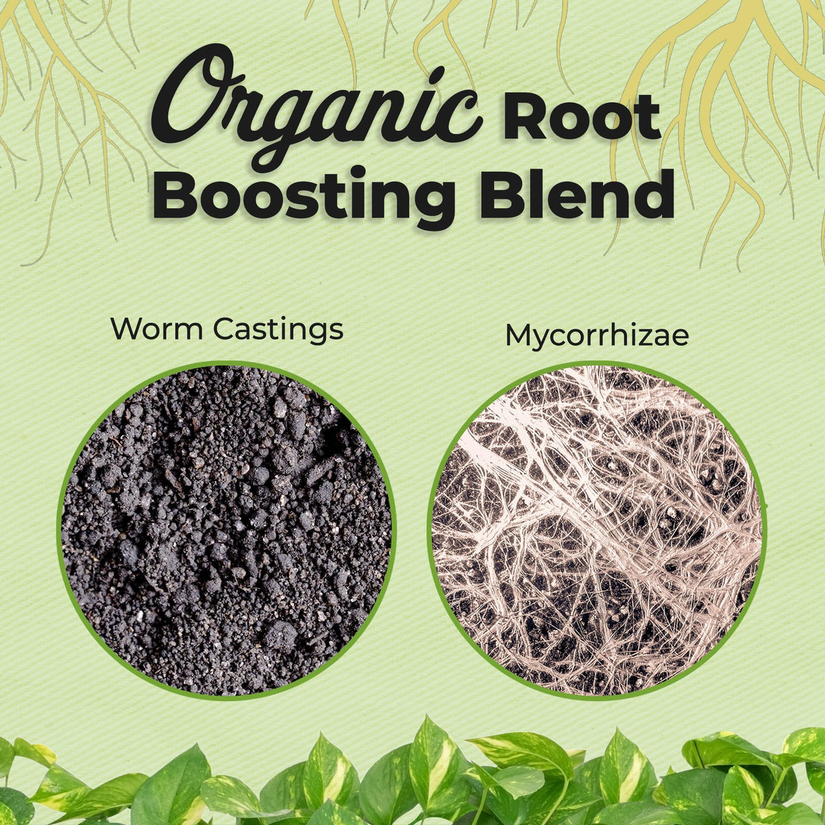 PERFECT PLANTS coconut coir helps bind the mix for durability.