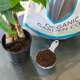 PERFECT PLANTS Coir Aeration promotes stronger roots and top growth.