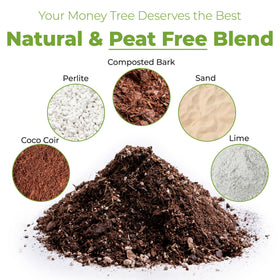 Perfect Plants coco coir based potting mix with garden lime for balanced indoor health.