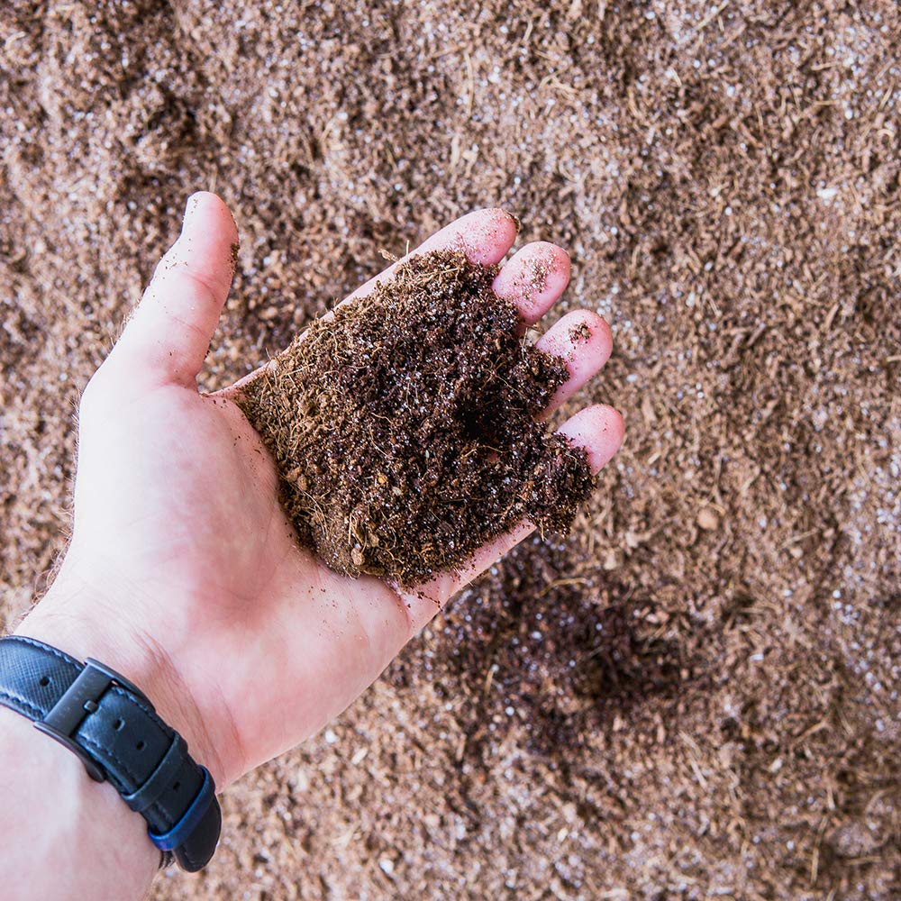 PERFECT PLANTS Coir Potting Medium supports easy root growth and aeration.