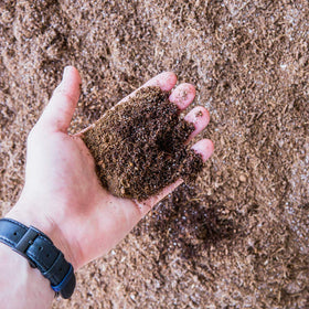 PERFECT PLANTS Coir Potting Medium supports easy root growth and aeration.