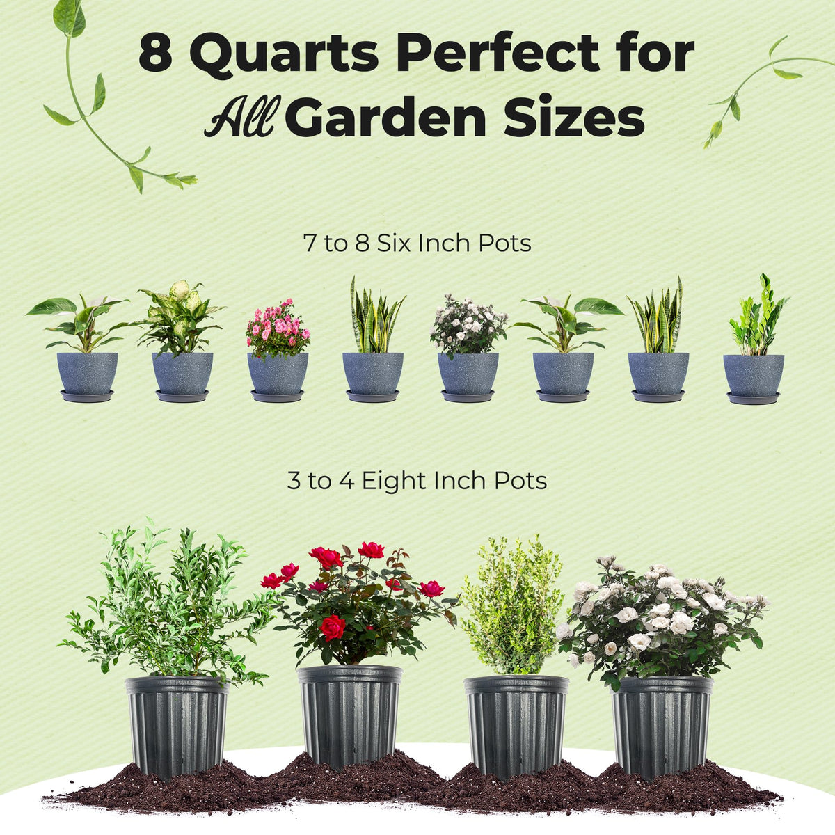Perfect Plants container garden setup ideal for balcony and indoor planters.