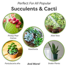 Perfect Plants drainage-balanced mix supports controlled watering for succulents.