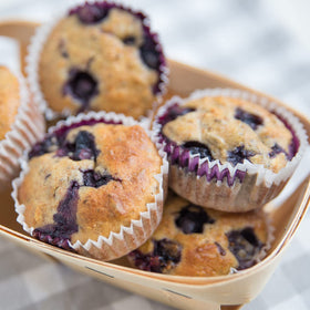 Perfect Plants family-run Florida farm grows berries for your garden.