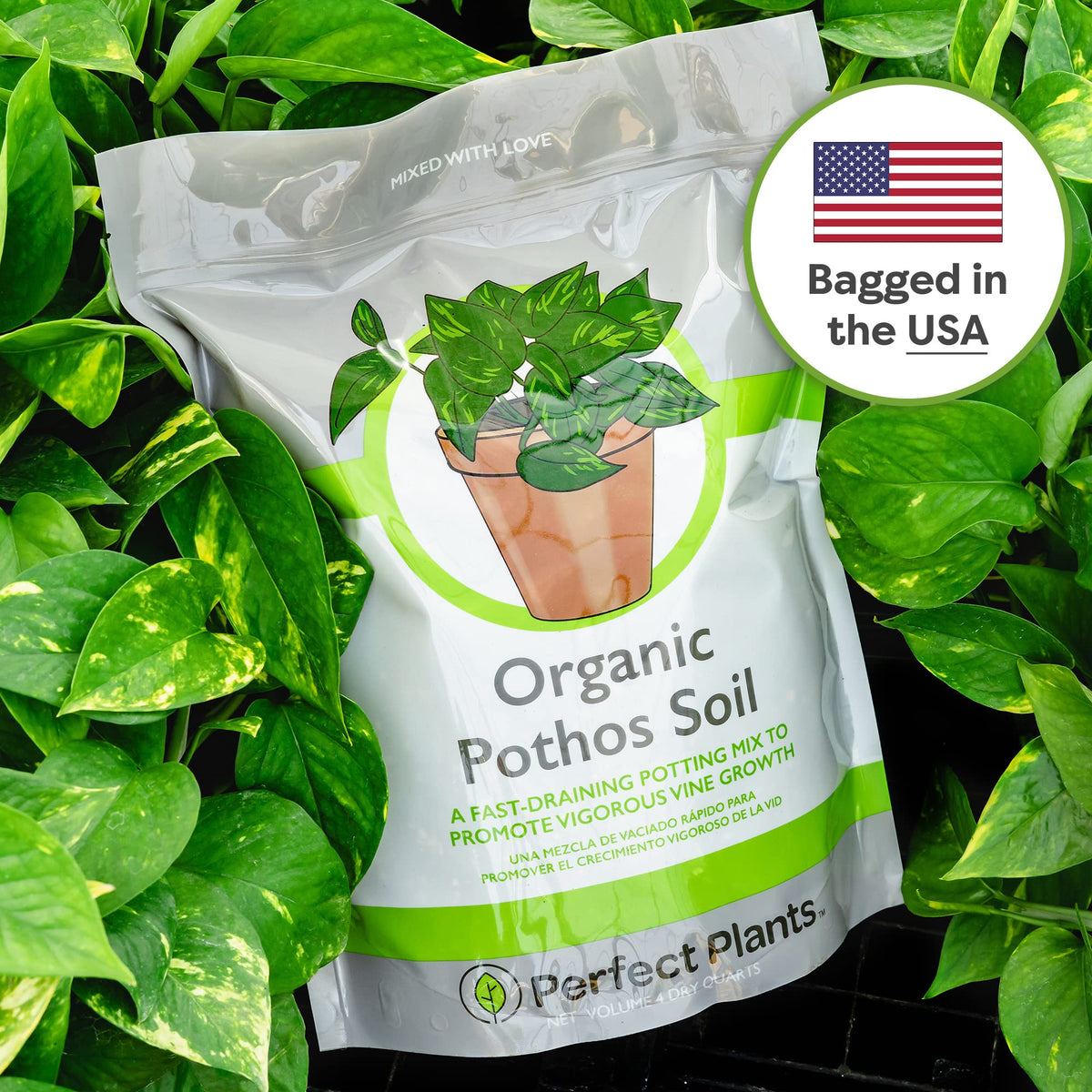 Perfect Plants farmer-grade ingredients with pine bark and perlite for pothos care.