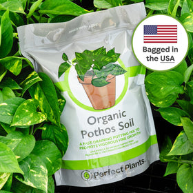 Perfect Plants farmer-grade ingredients with pine bark and perlite for pothos care.
