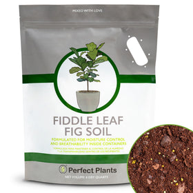 Perfect Plants Fiddle Leaf Fig Soil bag with premium blend for healthy indoor figs.