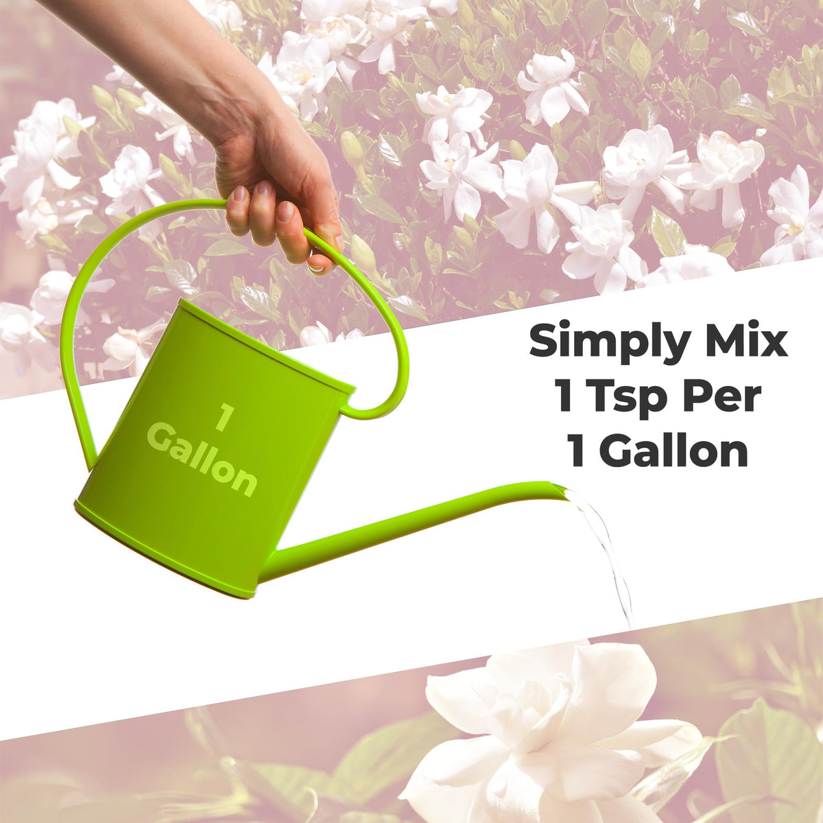 Perfect Plants Gardenia scene in indoor/outdoor setting highlights versatile plant care.
