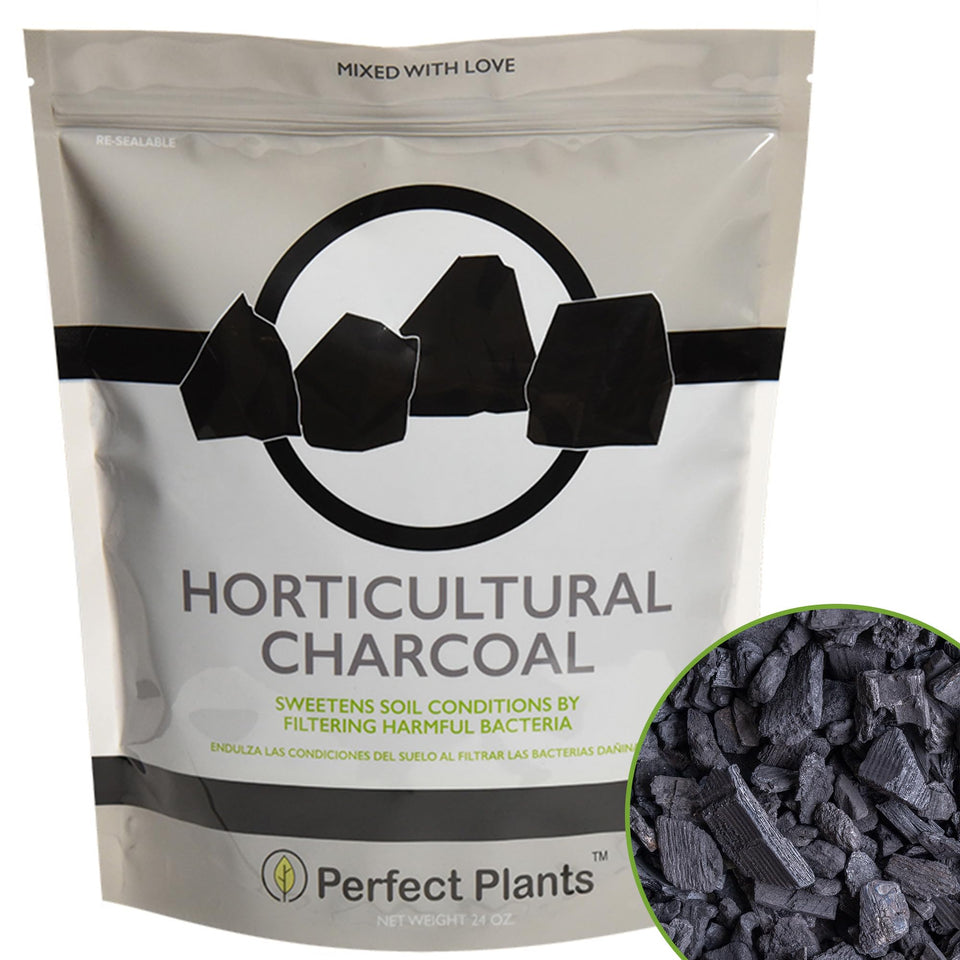 Perfect Plants Horticultural Charcoal bag 4qt improves moisture balance for containers