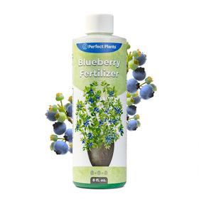 Perfect Plants Liquid Blueberry Fertilizer bottle boosts berry size and flavor.