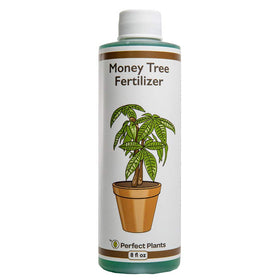 Perfect Plants fertilizer bottle front view for Pachira aquatica growth