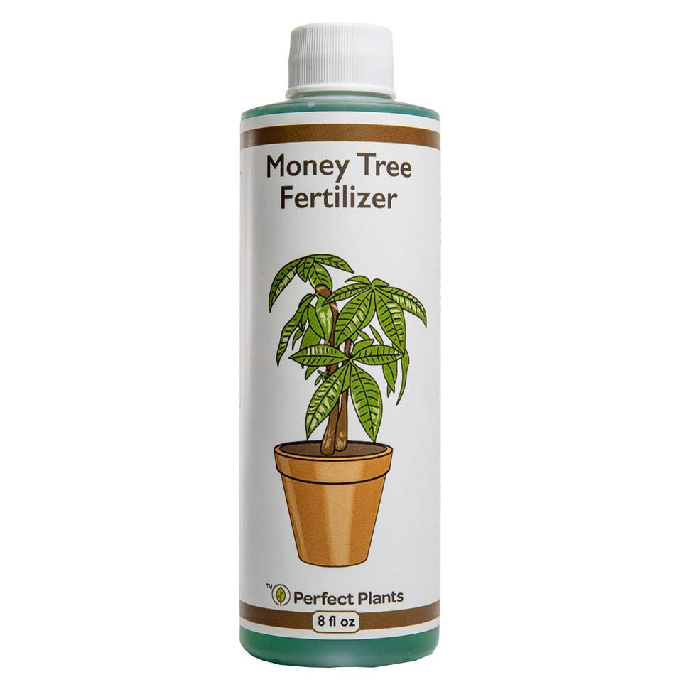 Perfect Plants fertilizer bottle front view for Pachira aquatica growth
