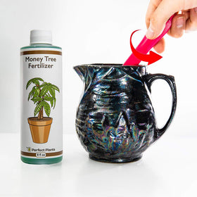 Indoor outdoor suitability: Perfect Plants fertilizer supports healthy growth