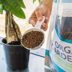 PERFECT PLANTS Made in USA packaging signals quality and compatibility with all plants.
