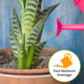 USA-made, professionally mixed Perfect Plants snake plant soil