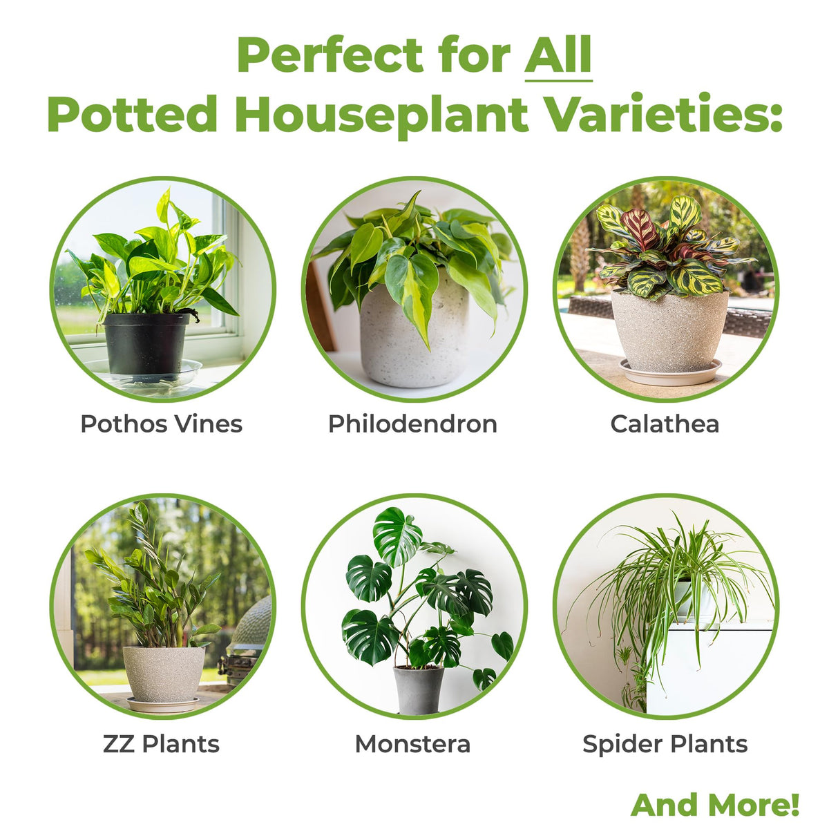 Perfect Plants moisture-management soil promotes drainage and root airflow