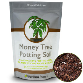 Perfect Plants money-tree potting soil 2qt bag ready for indoor planting and root health.