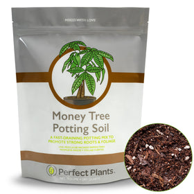 Perfect Plants money tree potting soil in a 4qt bag supports robust root growth.