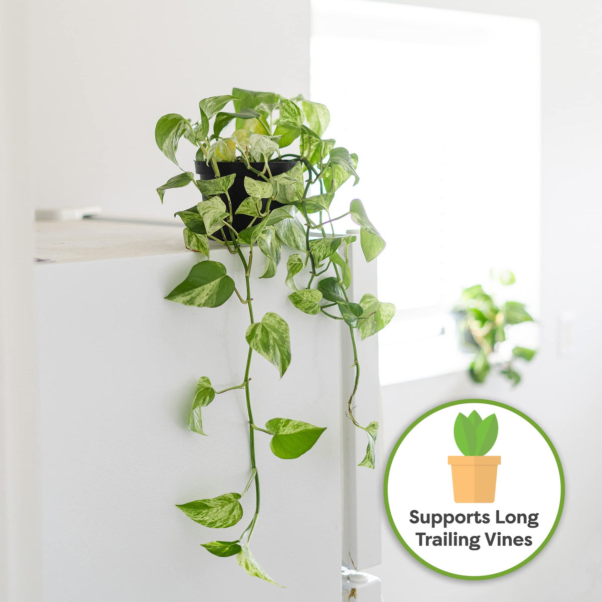 Perfect Plants organic medium for indoor gardening in clay pots and planters.