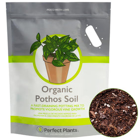 Perfect Plants Organic Pothos Soil coco-based blend supports healthy pothos indoors.
