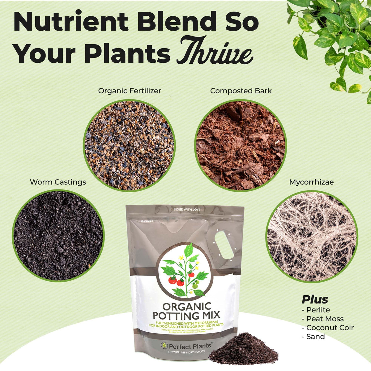 Perfect Plants Organic Potting Mix texture closeup shows rich earth for thriving roots.