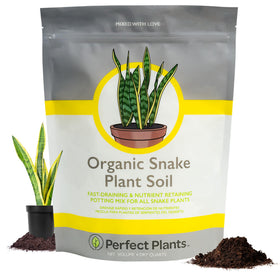PERFECT PLANTS Organic Snake Plant Soil 4qt bag improves drainage for Sansevieria varieties
