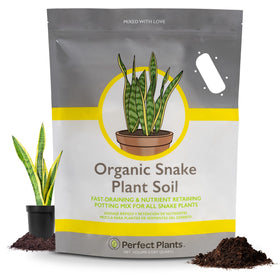 Perfect Plants Organic Snake Plant Soil in an 8qt bag for improved drainage