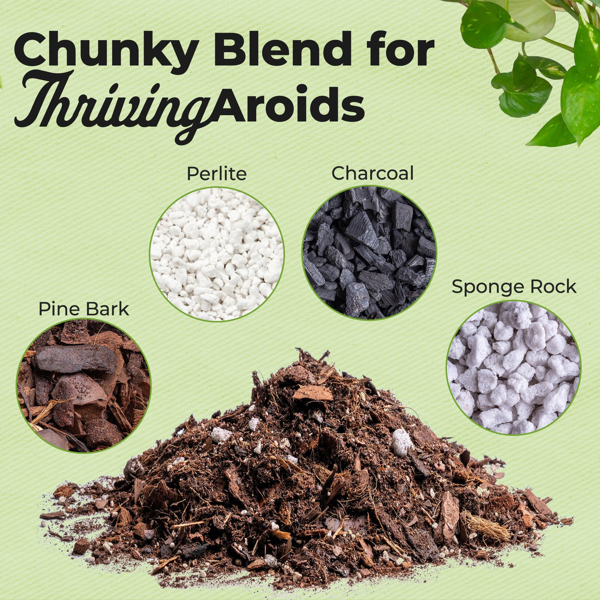 PERFECT PLANTS peat-free Aroid Potting Mix 8qt promotes sustainable potting.