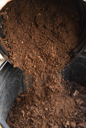 Perfect Plants peat moss in potting soil supports moisture and root growth.