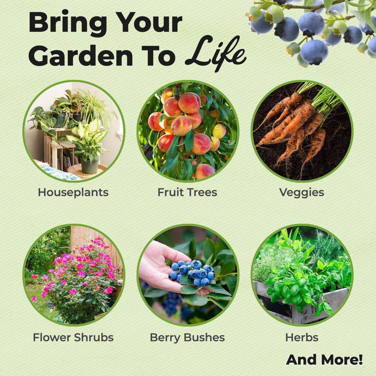 Perfect Plants Perlite-enriched drainage supports easy moisture control in pots.