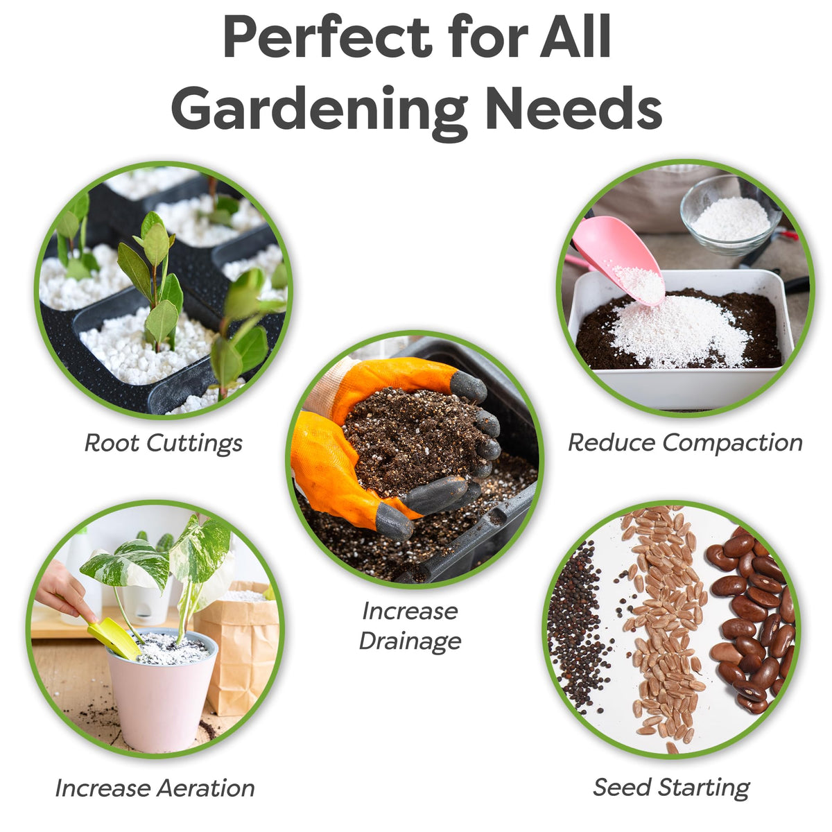 Perfect Plants perlite granules close-up highlighting lightweight drainage benefits.