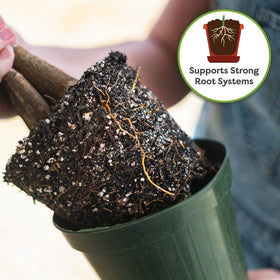 Perfect Plants resealable potting soil bag highlights easy storage and freshness.